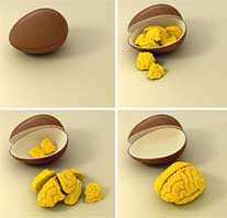 ilustrações 3D hiper-realistas de ovo e cérebro