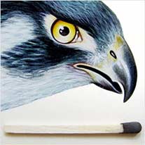 detalhe da arte do falcão