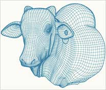 Arte 3D wireframe de boi zebu