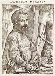 Ilustrações médicas Andreas Vesalius