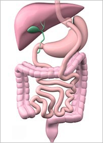 Ilustrações médicas Cirurgia Bariátrica